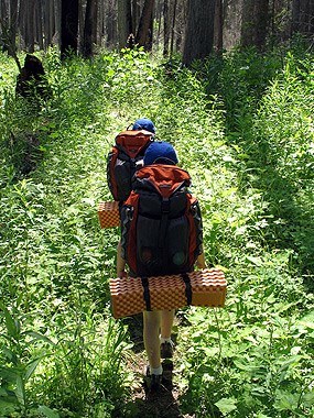 kids with backpacking gear walk down trail