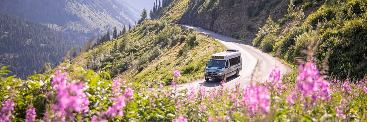A shuttle bus drives up a mountain road with flowers in the foreground.