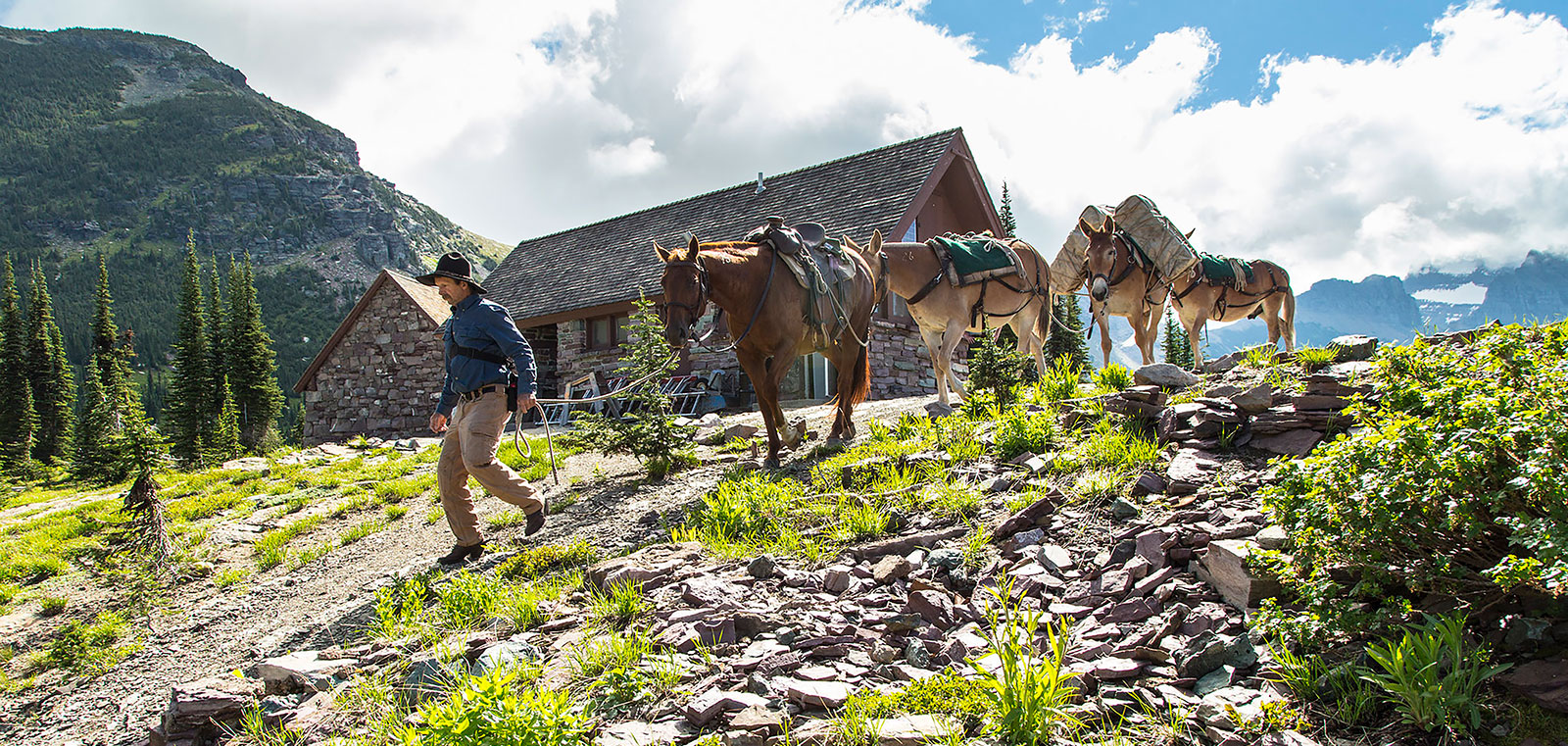 A man leads a string of pack animals down a hill away from a mountain chalet on a sunny day.