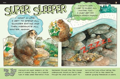 marmot illustration on Super Sleeper wayside panel