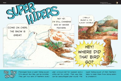 Ptarmigan illustrations on Super Hiders wayside panel