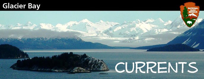 Glacier Bay Ocean Science Blog