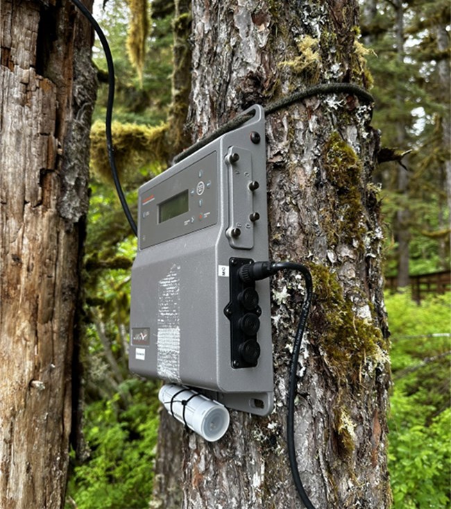 a gray electronic box attached to a tree with wires coming out of it.