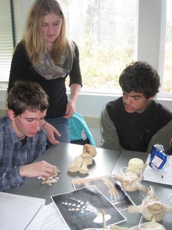 Students and Killer Whale Bones