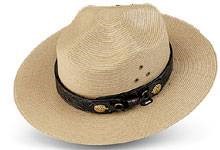 Park ranger hat