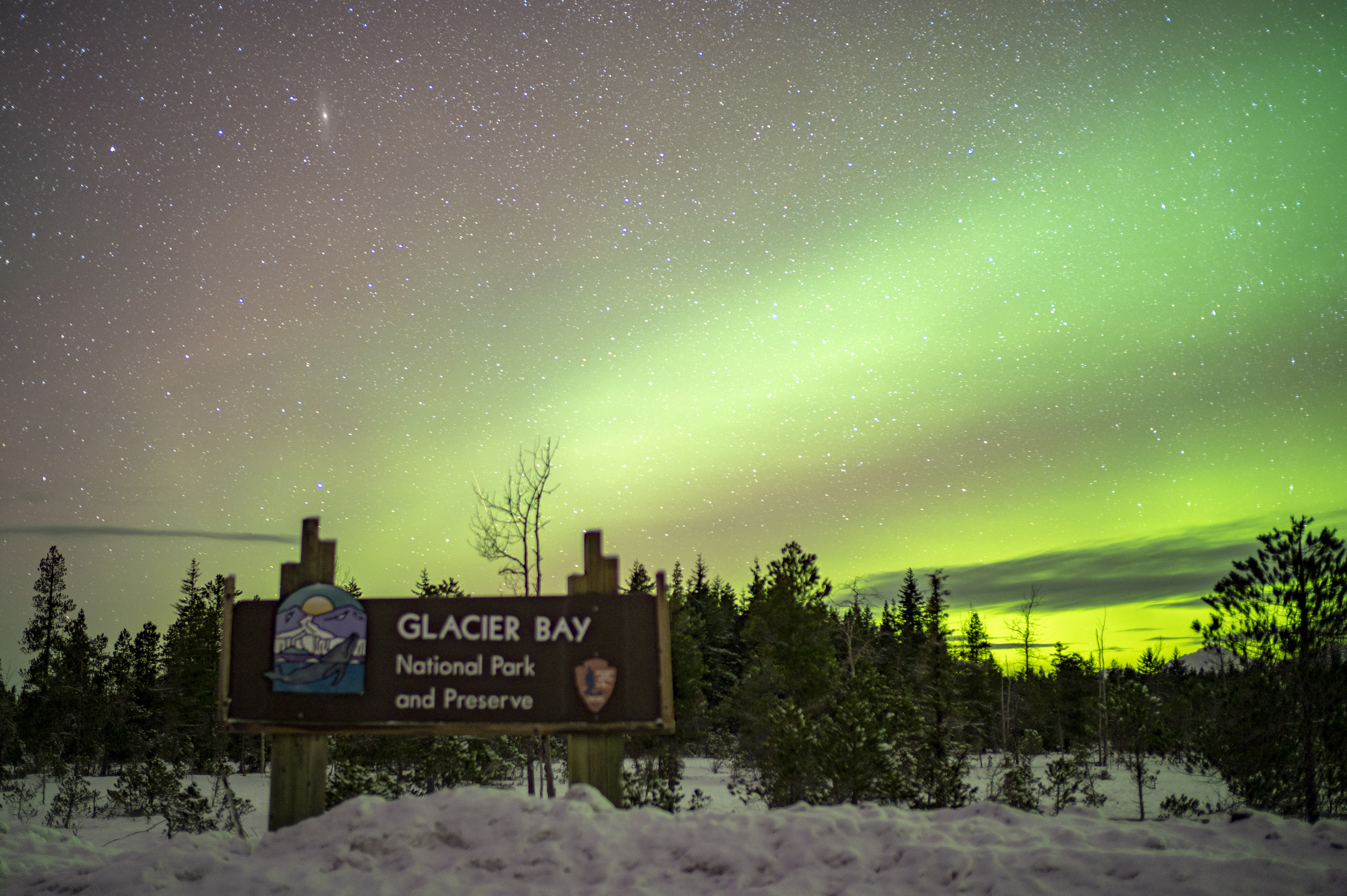Green glow of aurora on a deep purple sky. The Glacier Bay park entrance sign has snow piled up beneath it and evergreen trees scattered around it and beyond.