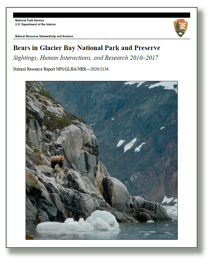 bears in glacier bay report front page, a brown bear on a rocky cliff