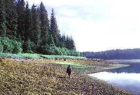 Figure on park shoreline