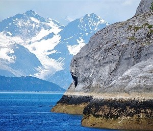 a cliff with marine life attached near the water and mountains in the background