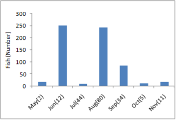 a bar graph depicting the monthly recorded fish abundance for dolly varden. June and August have the highest recorded numbers.