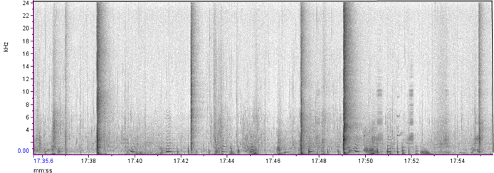 sound spectrograms showing frequency (1 - 11 kilohertz) on the vertical axis and time on the horizontal axis.