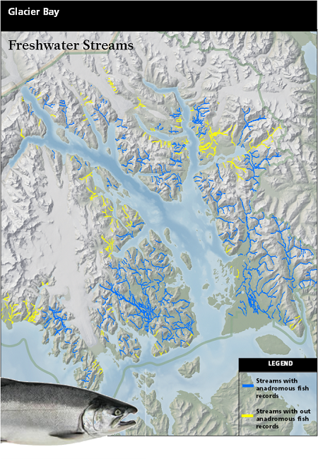 a map depicting the streams that are recorded to contain anadromous fish in Glacier Bay and the streams that are lacking information