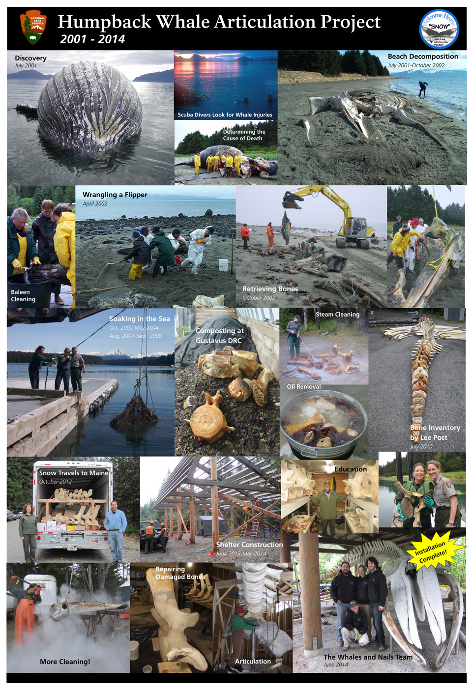 Whale 68 Project Poster