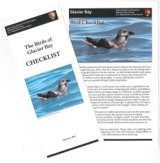 Image of Bird Checklist brochures
