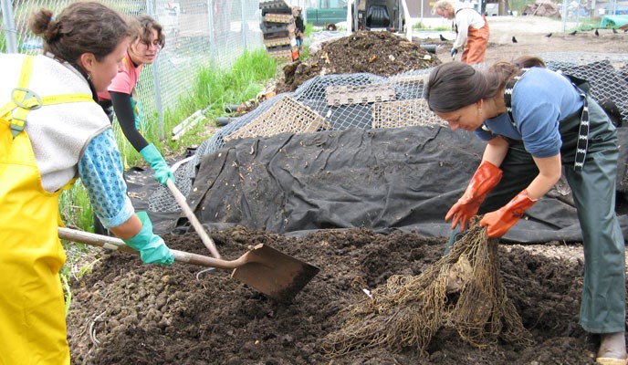 Volunteers digging for bones in compost at a landfill.