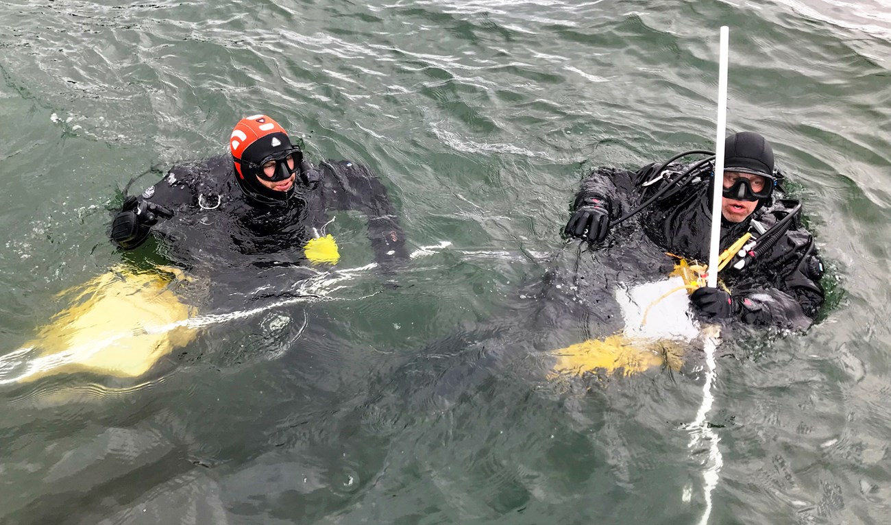 two scuba divers, one in black and one with an orange cap, float in dark green water. They hold various scientific instruments.