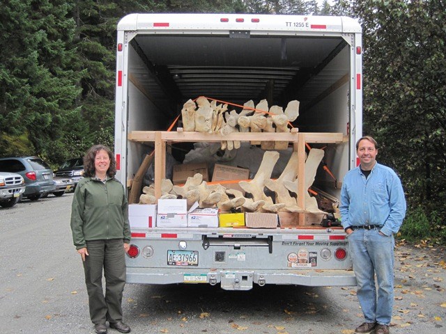 Park ranger and Dan DenDanto pose in front of the open rear door of a trailer, loaded with whale bones.