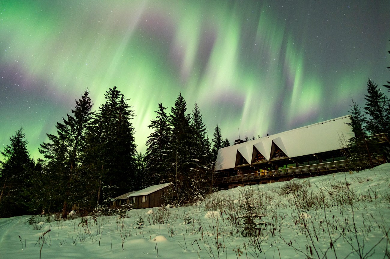 aurora borealis shines in the sky above the snow-covered glacier bay lodge building.