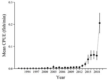 Chart indicating rapid rise of brown trout population in Colorado River
