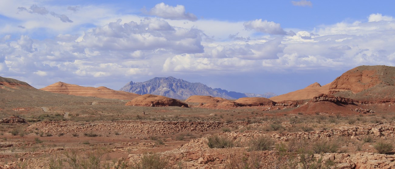 A long stretch od red sand and sandstone, dark mountin in background