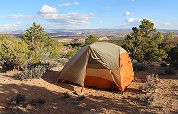 Tent among junipers with distant canyon views