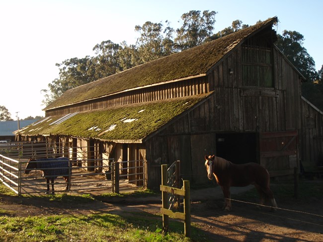 Photo of one of the horse stables  found at Rancho Corral de Tierra.