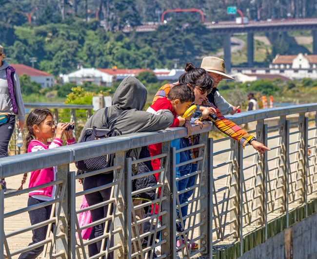 Students on the bridge overserving Crissy Marsh