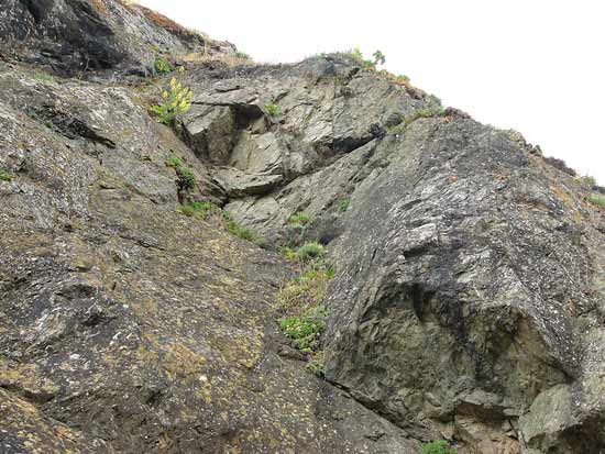 Diabase exposure at Point Bonita