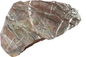 Limestone hand specimen