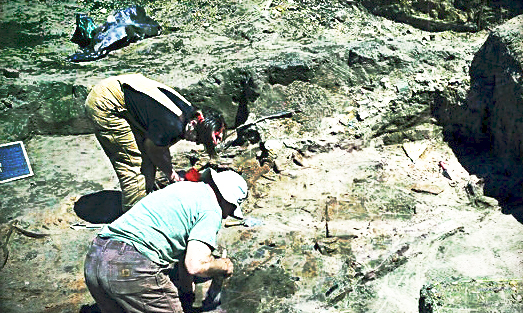 volunteers working brushing aside dirt at an archaeological dig