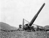 photo of an antiaircraft gun