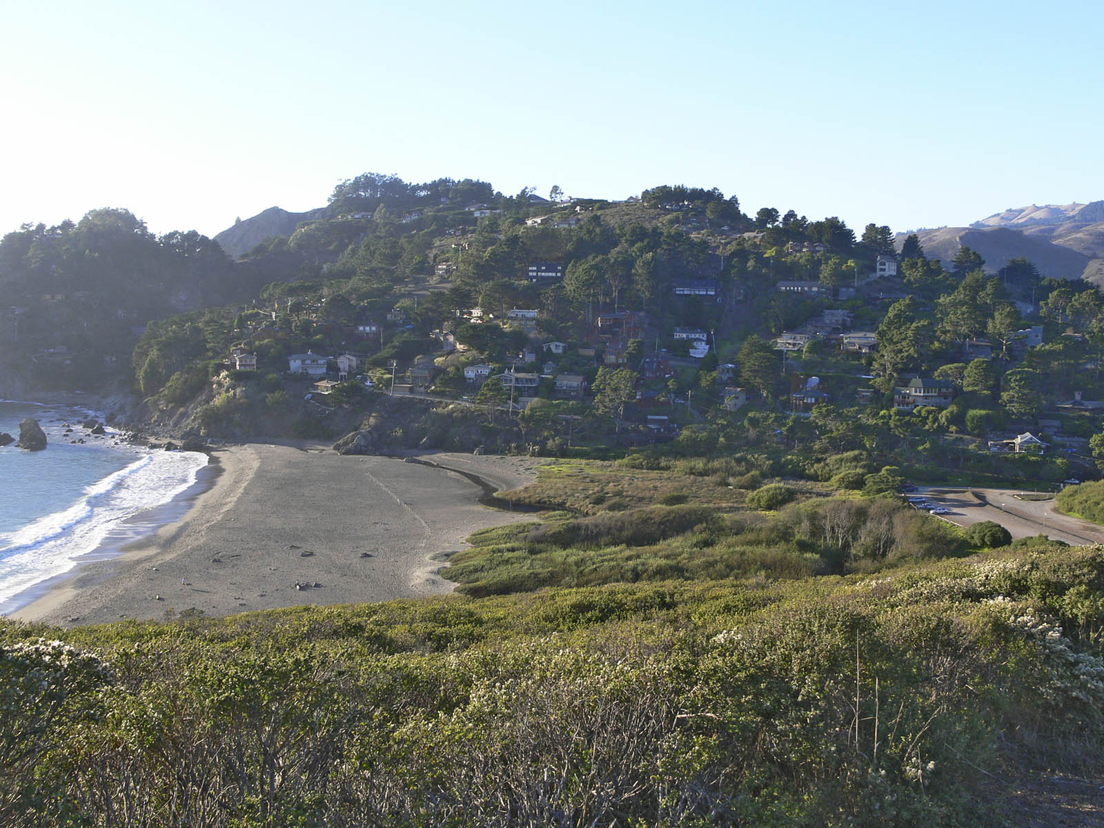 Landscape shot of Muir Beach