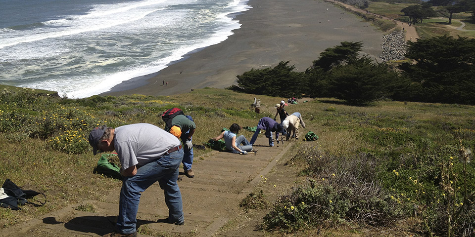 Volunteers work on restoration projects at Mori Point.