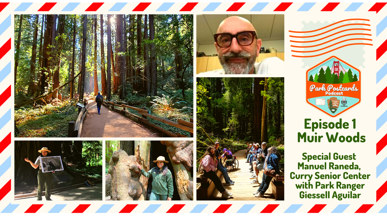 Virtual Park Postcard with grid of photos including Manuel Raneda, a park visitor, Ranger Giessell, and scenes of people exploring Muir Woods redwood forest.