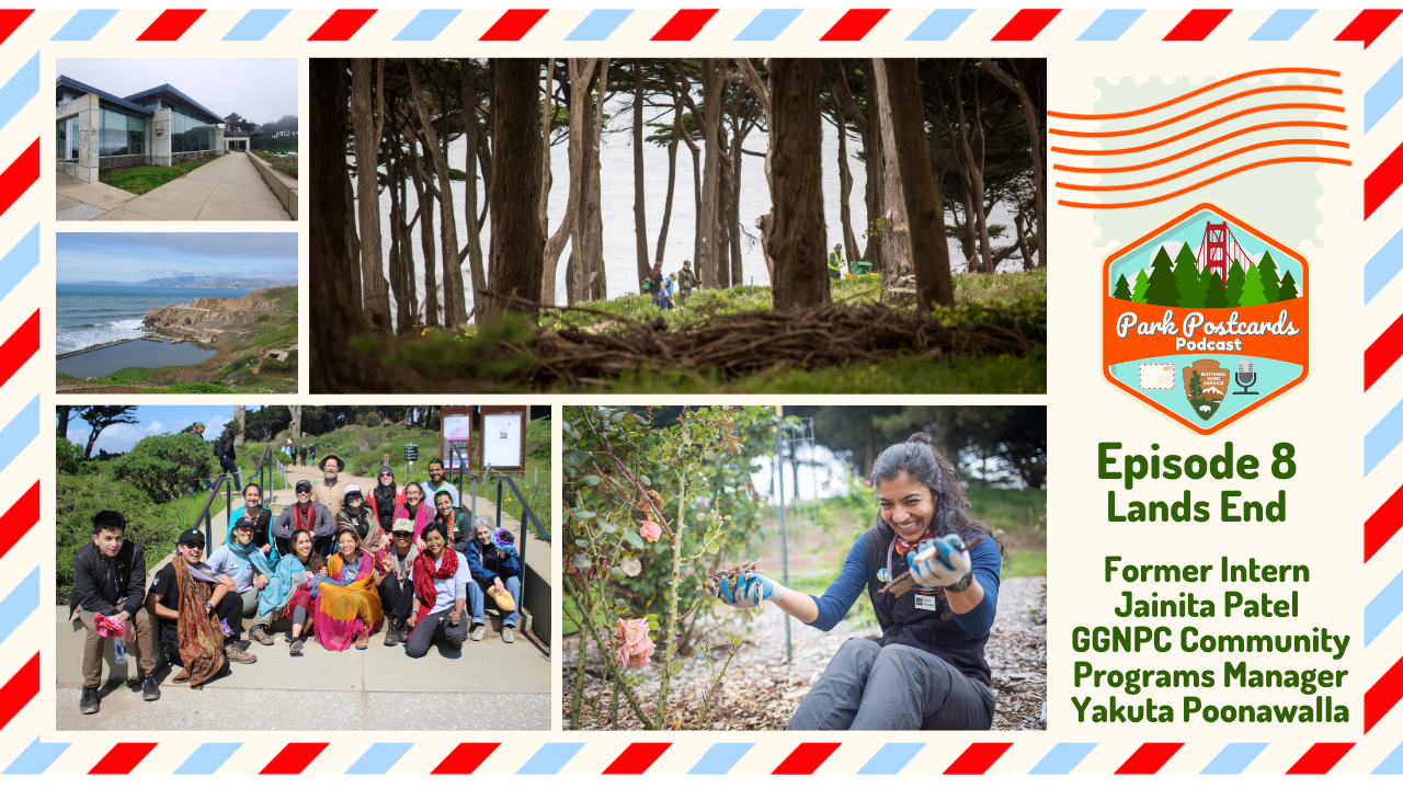 Virtual Park Postcard with grid of photos of Lands End including monterrey cypress trees, Lands End Lookout, a group of volunteers and Yakuta Poonawalla the Community Programs Manager for GGNPC.