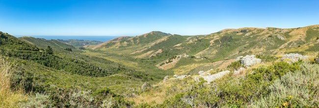 A wide open valley leading to the pacific ocean. Some rocks sit amidst coastal scrub in the foreground.
