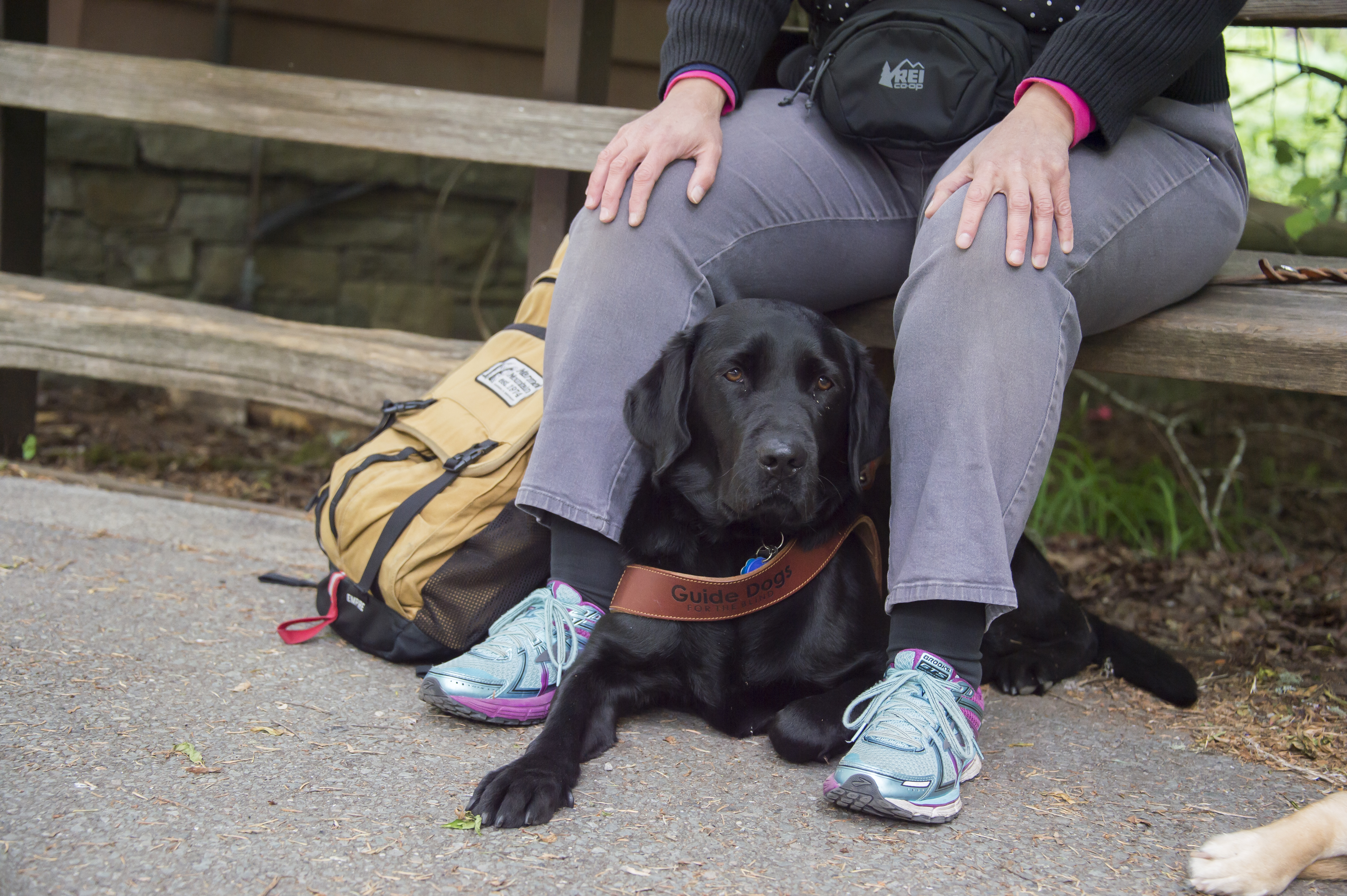 A black dog lies on the ground between the legs of a person sitting on a bench.