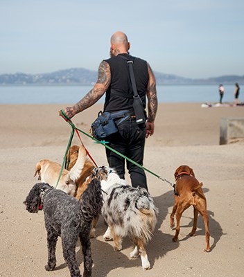 man with four dogs