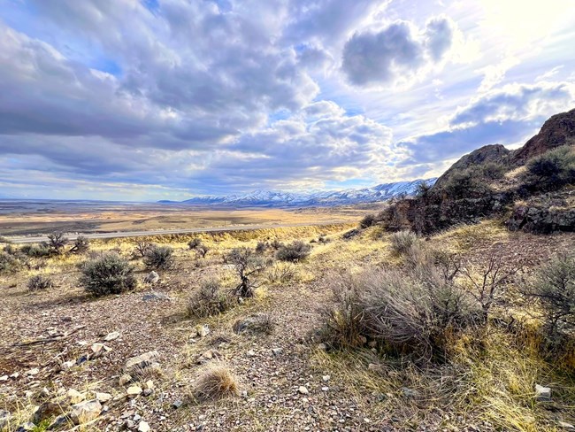 Vast landscapes of yellow and gray sagebrush