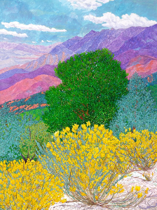 Yellow Rabbitbrush sprouts in front of tall pines in front of purple mountains and hills