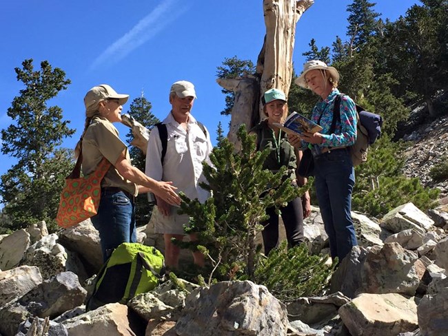 Group of adults standing near a young pine tree, while Artist in Residence Miki Harder reads to them.