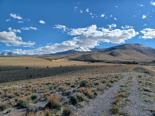 view of two-track road leading up into mountains with low shrub, then small trees, a burned area, and in the distance snow-covered mountains with a blue sky and scattered clouds