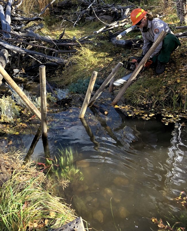 Water backing up behind sticks and veg in a stream