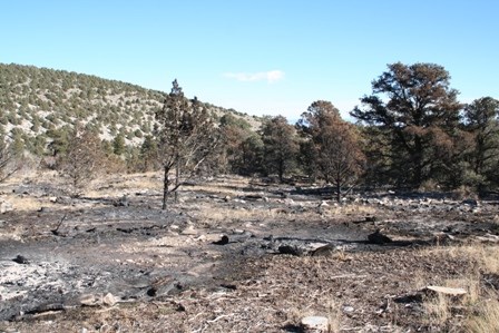 Perscribed Burn, Lehman Flats