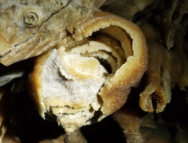 cave formation that looks a bit like an onion