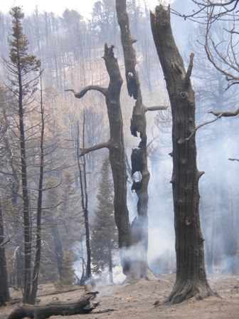 Border Fire, 2006