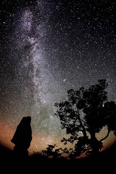 a wind-twisted tree and a rock monolith silhouetted against a night sky filled with the Milky Way Galaxy