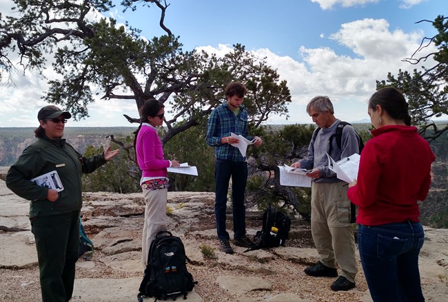 Four teachers in civilian clothing and one Park Ranger review documents on a rock ledge overlooking the Grand Canyon.