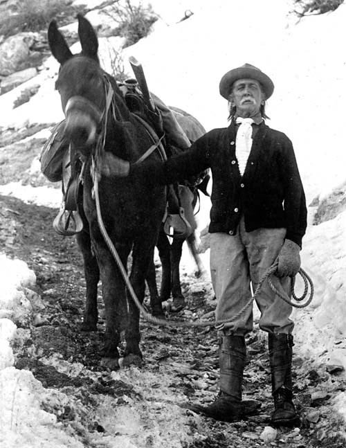 A black and white photograph of a man standing next to a mule.