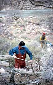 ZUNI CONSERVATION PROGRAM PERSONNEL CONSTRUCTING CHECKDAMS NEAR AN ARCHAEOLOGICAL SITE TO SLOW DOWN EROSION